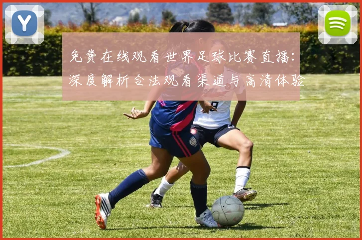 免费在线观看世界足球比赛直播:深度解析合法观看渠道与高清体验指南