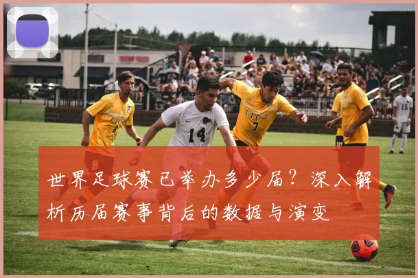 世界足球赛已举办多少届?深入解析历届赛事背后的数据与演变