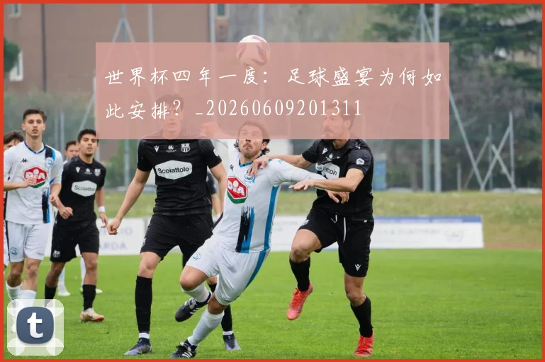 世界杯四年一度：足球盛宴为何如此安排？_20260609201311